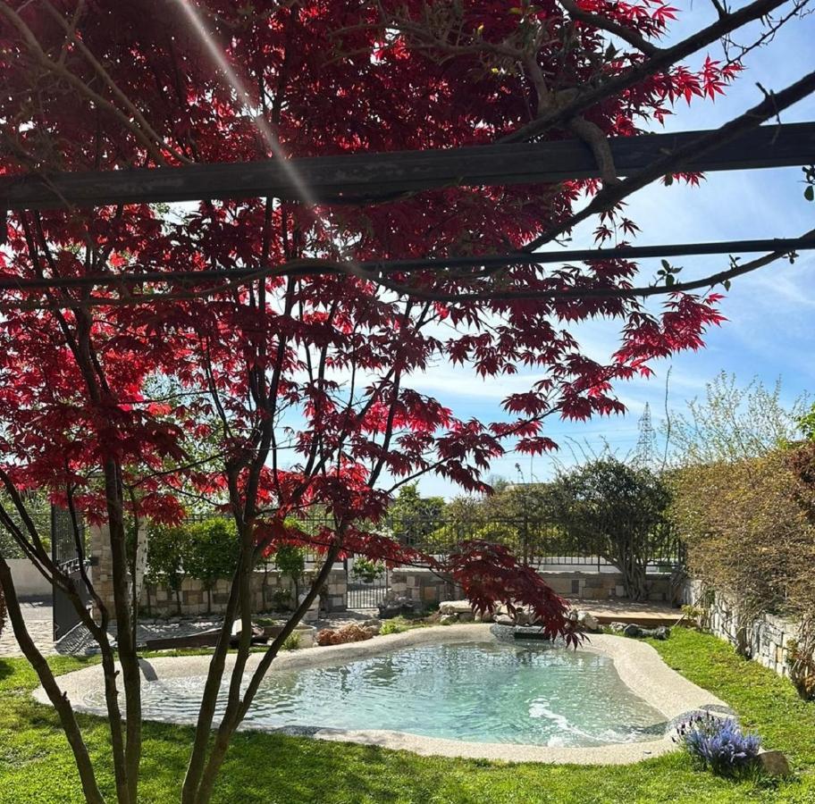 Domus Parva - Villa Con Bio-Piscina, Spa Privata E Appartamenti Panoramici Bacoli Eksteriør billede